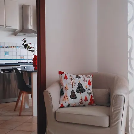 D'Amelio Sweet Home-2